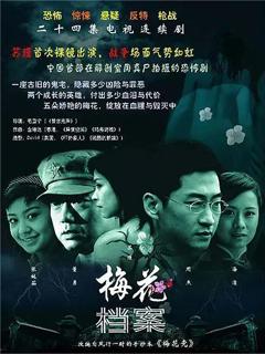 免费在线观看完整版国产剧《梅花档案 2003》