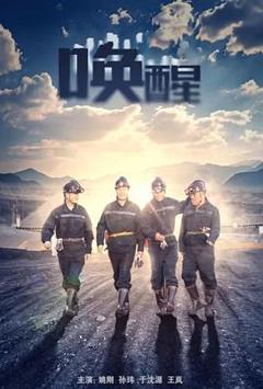 免费在线观看《唤醒2024》